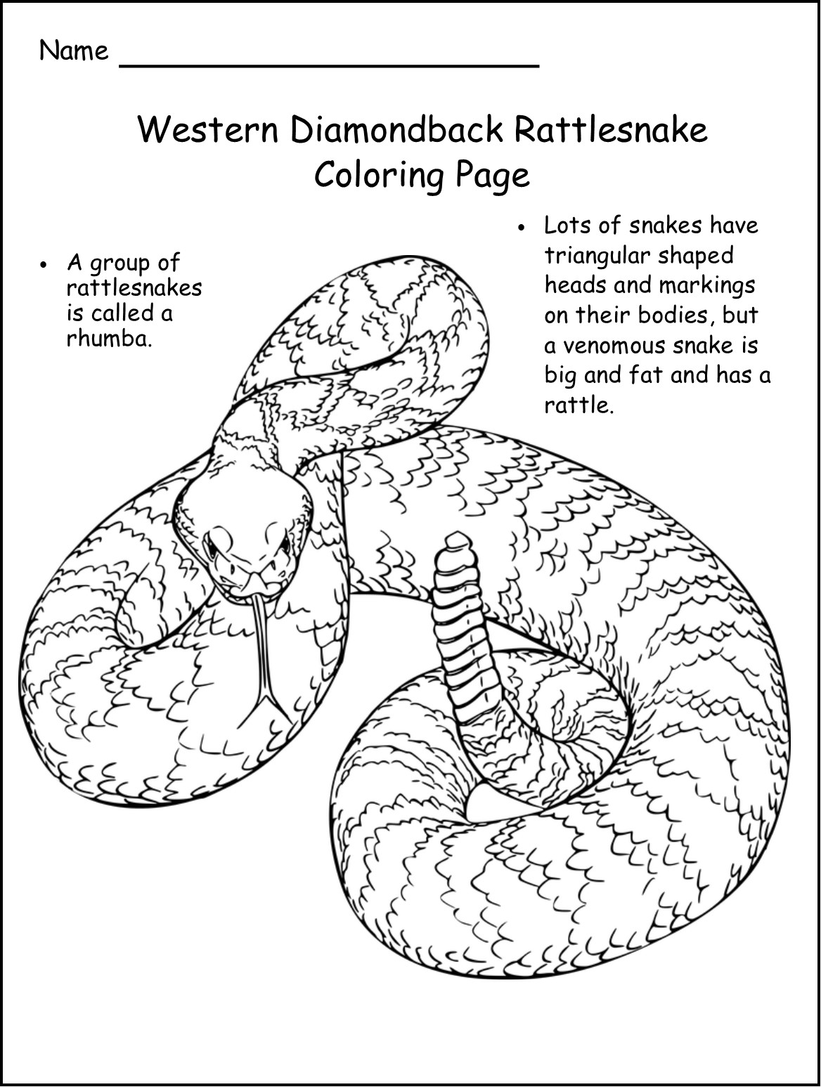 Diamondback Rattlesnake Page Coloring Pages