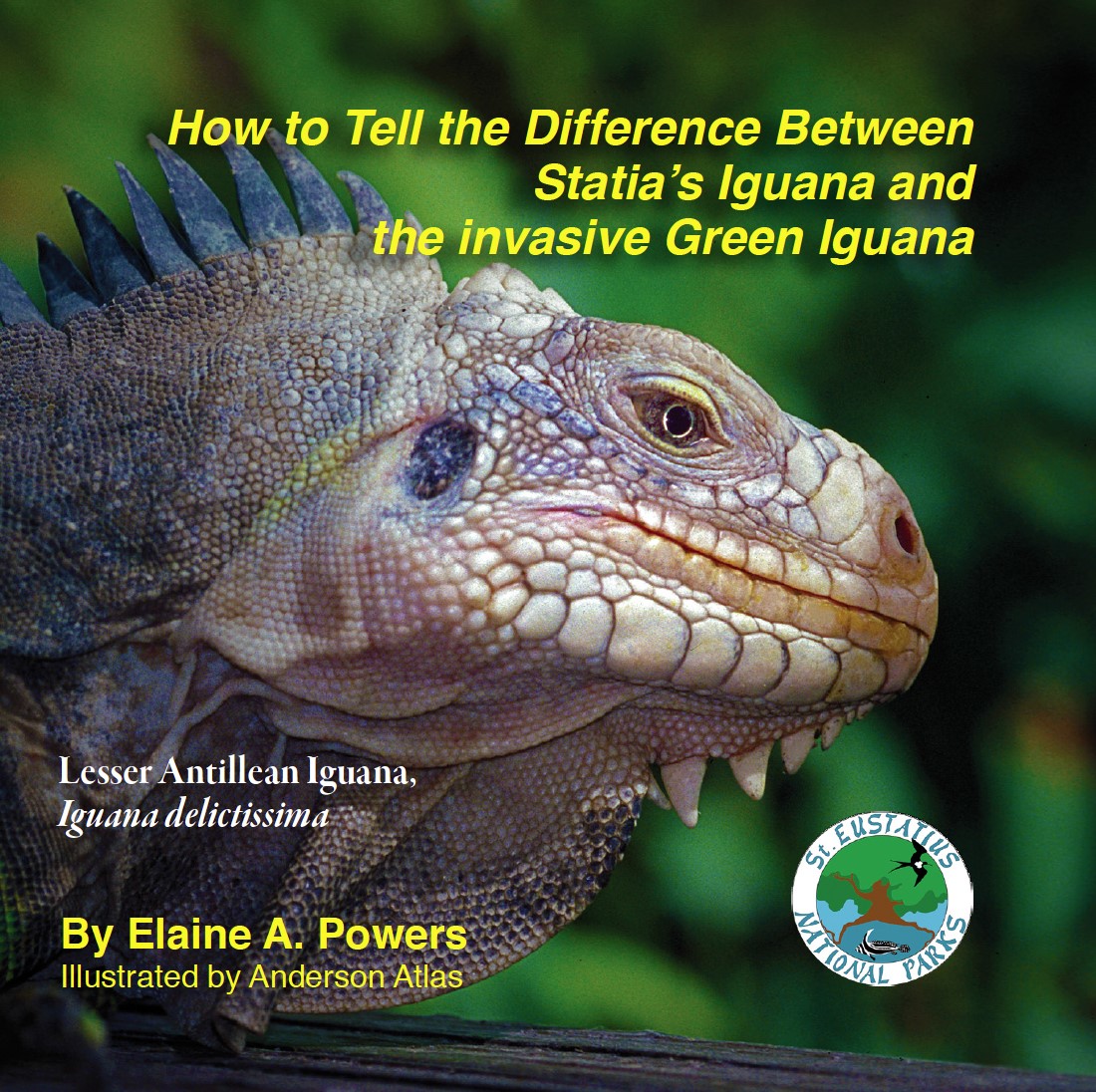 cover of booklet showing iguana image