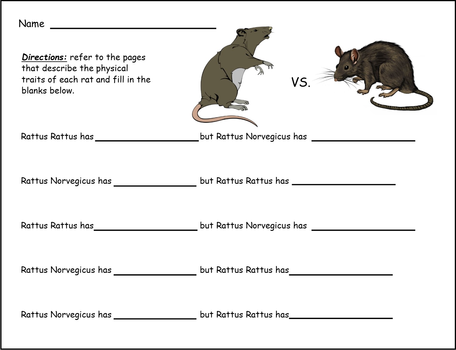 drawing of bats and rats