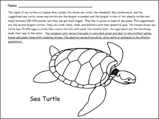 My Coloring Book Animals of Cayman Brac Grades K-4, 14 Coloring Pages ...