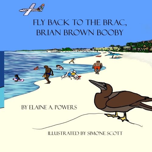 book cover, blue sky, bird  a brown booby is on beach near ocean