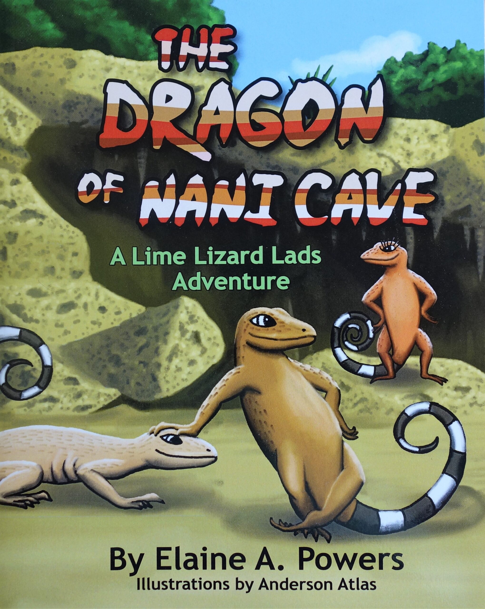 book cover illustration with two iguanas