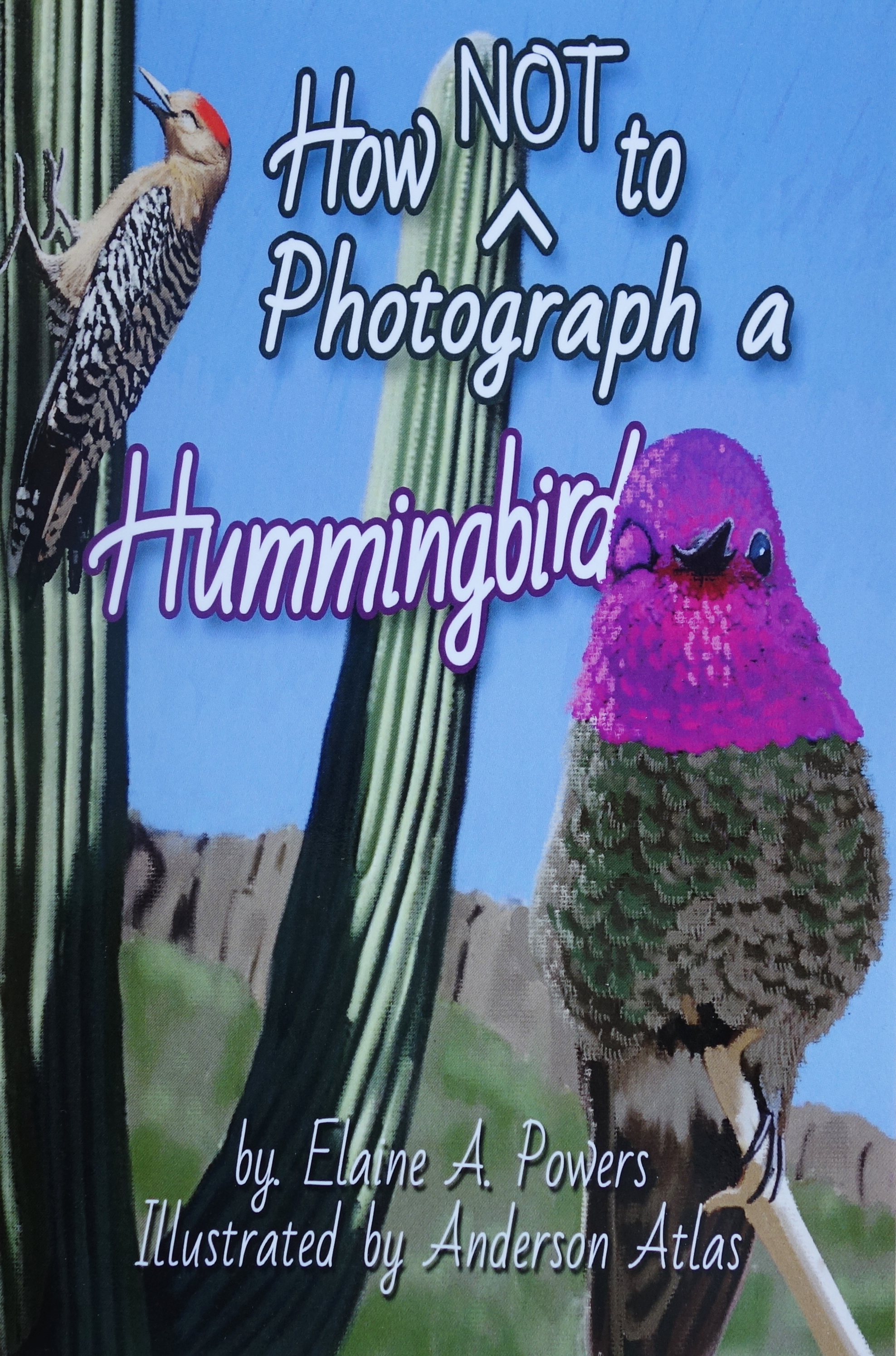 Colorful book cover illustrated with Anna's Hummingbird in The Sonoran Desert