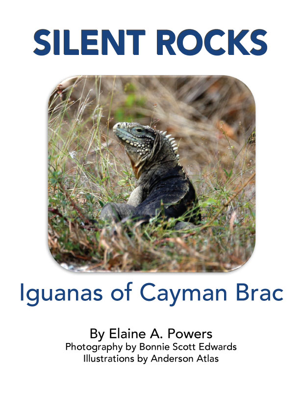 cover of book "Silent Rocks." white background, rock iguana pictured in natural habitat on island Cayman Brac