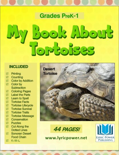 book cover book about tortoise preK-1st grade