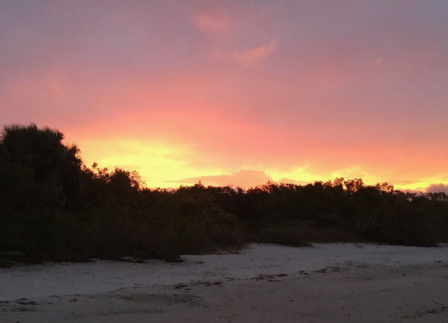 A sunrise in the Bahamas, beach, trees, yellow, pink and purple sky