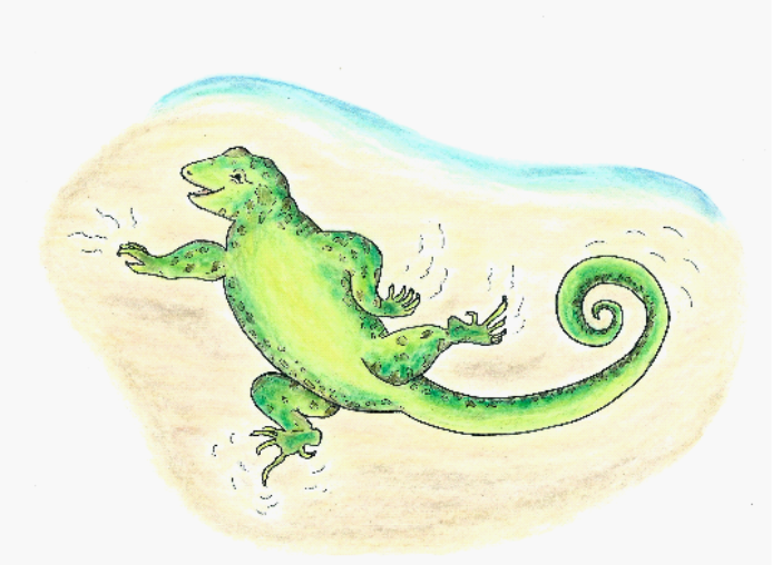 An illustration of Curtis curly-tail, a green lizard with a curly tail!