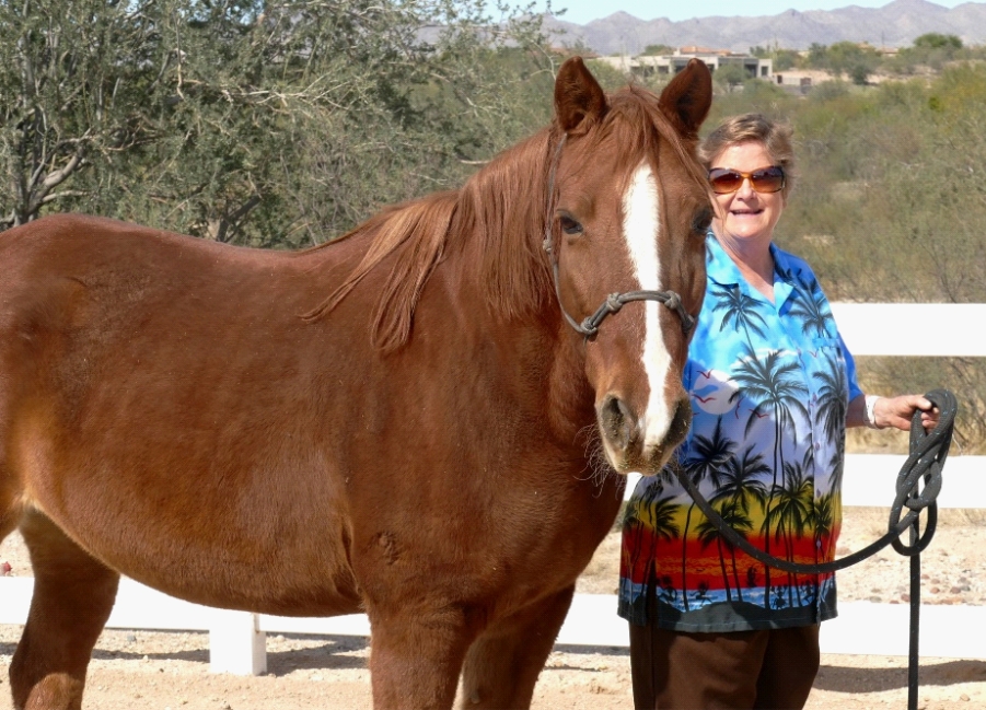 woman stands by brown horse, MIssouri Foxtrotter