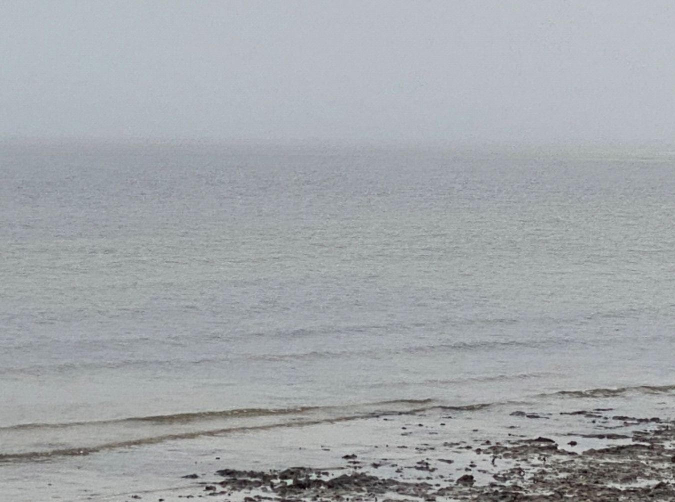 a gray, foggy ocean scene