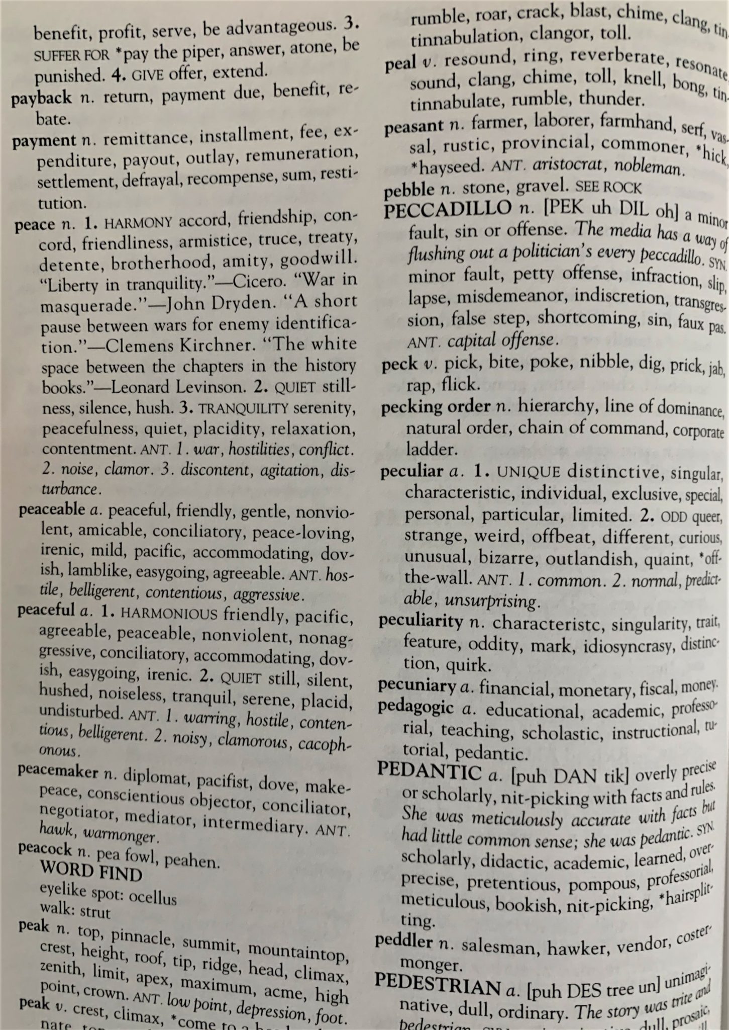 photo of a page of a thesaurus