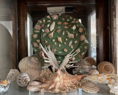 Photo of a seashell decorative element, created with many different seashells