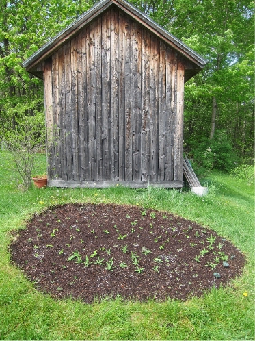 Photo of Flower bed at end of potting shed