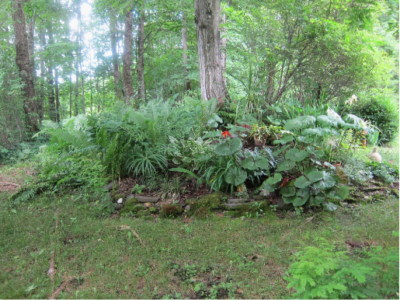 photo of a flower garden planted around a tree trunck