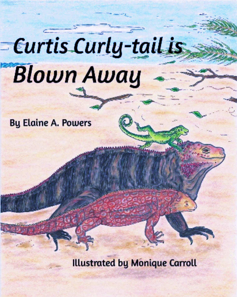 children's book cover illustration with iguanas and curly-tail lizard