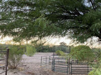 image of a horse pen in southern AZ