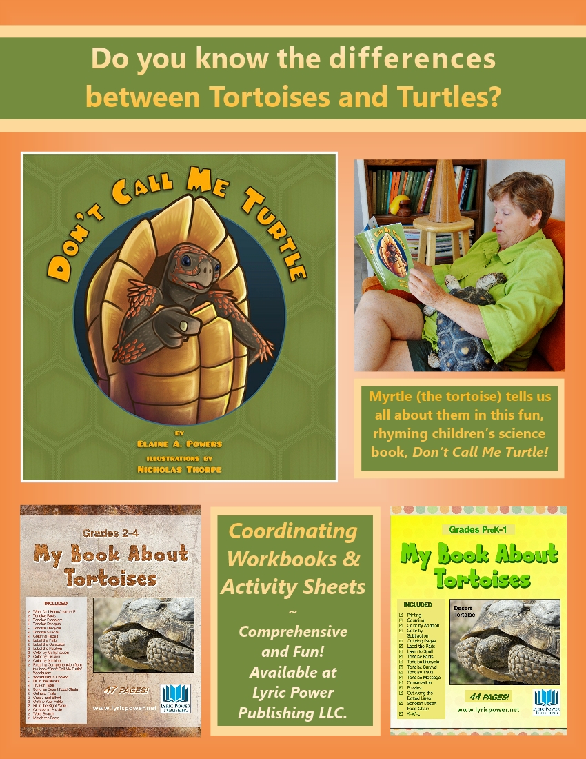 infographic about fun science education books about turtles and tortoises