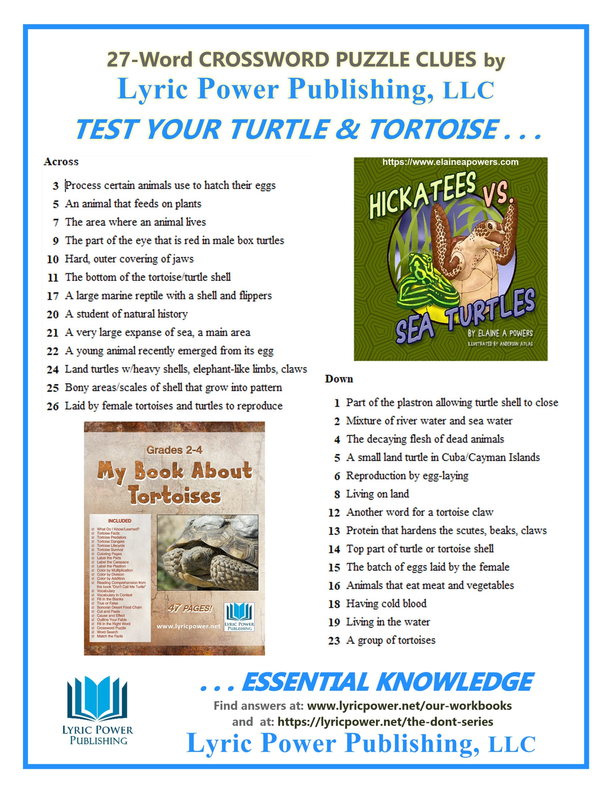 Clues for Crossword Puzzle Tortoises and Turtles