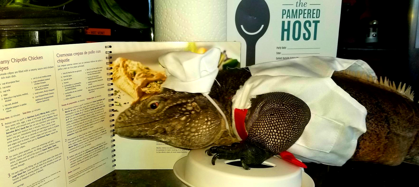 iguana reading cookbook