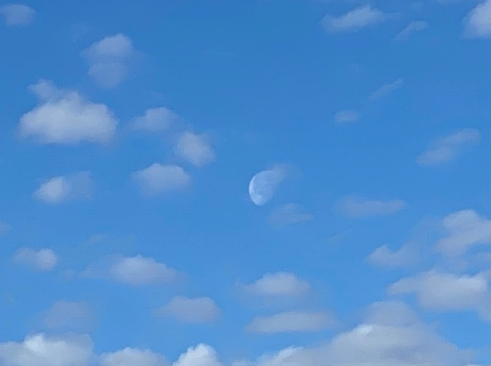 photo of moon in the day time