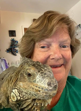 photo of author with large green iguana on her shoulder