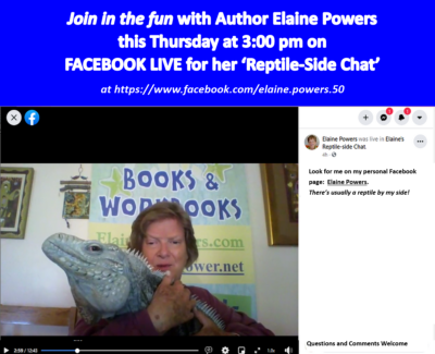 screenshot from video of large iguana on Elaine Power's lap