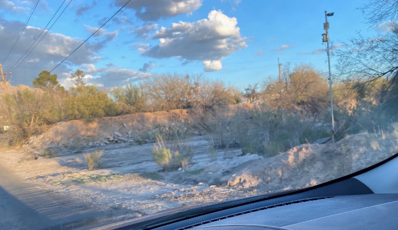 photo of Sonoran Desert