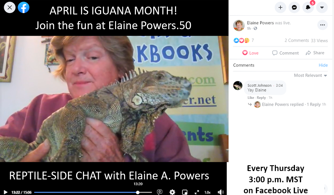 Infographic re: Reptile-Side Chats