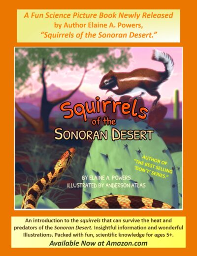 graphic for Squirrels of the Sonoran Desert