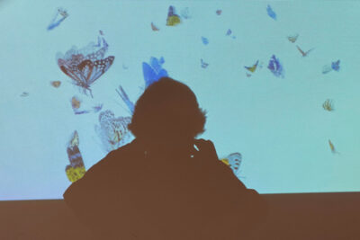 Projection of butterflies, fluttering over a shadow on a wall.