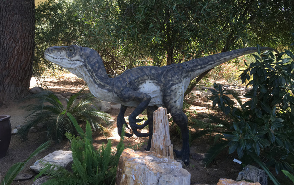 A velociraptor sculpture posed among rocks and plants. 
