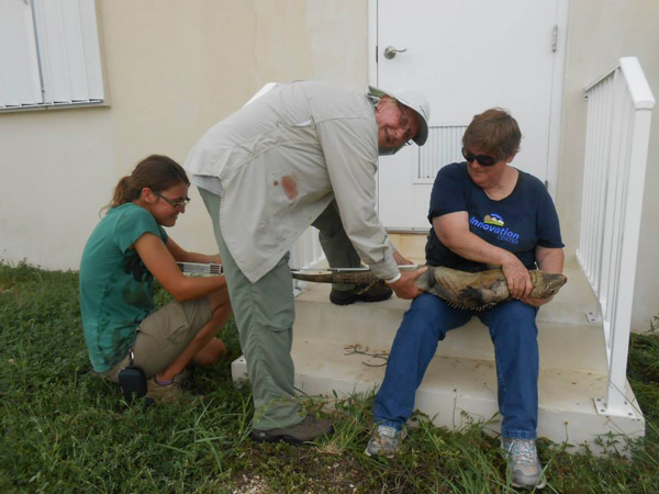 Elain with two other scientists taking measurements of an iguana.