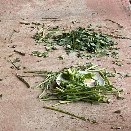 Piles of green leaves sit on a concrete porch.