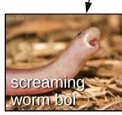 A screen shot of the screaming worm boi meme.