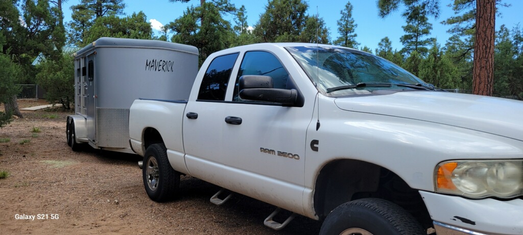 A white pick-up truck with a silver horse trailer hitched to it.