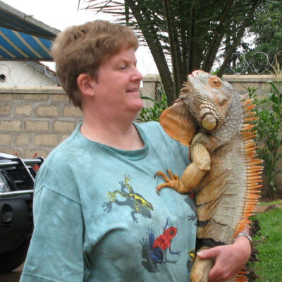 Elaine holding a large gray and orang iguana like a baby.