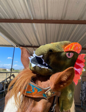 A close-up of the brown and white pinto horse wearing a small green dinosaur-head hat.