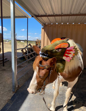 A brown and white pinto horse wearing a small green dinosaur-head hat.