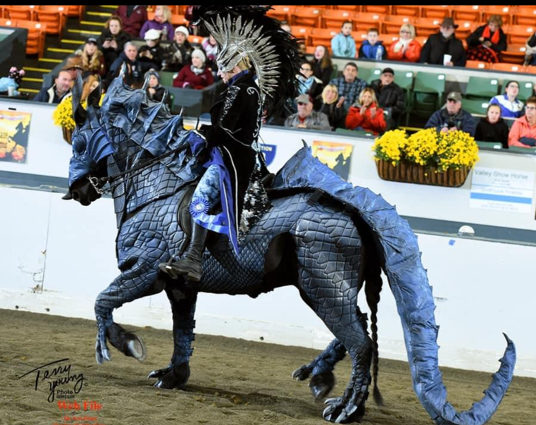 A horse and rider are dressed in costume as a dragon and his warrior rider. 