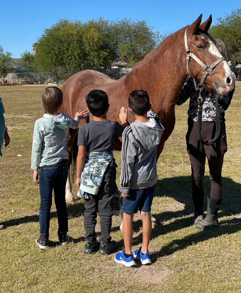 Three children line up to pet Napoleon, a chestnut horse in the field of a school.