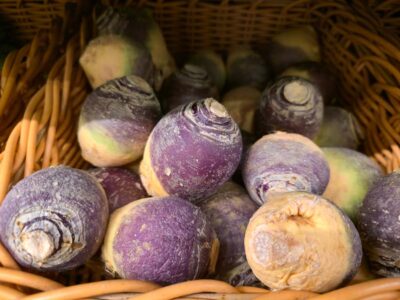 A pile of purple and yellow rutabaga.